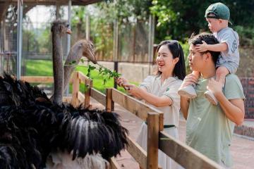 Trường Thành Farm Hải Phòng – khu sinh thái giải nhiệt mùa hè cực vui