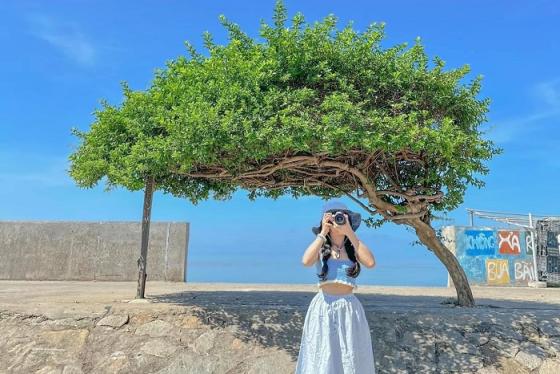 Bỏ túi kinh nghiệm du lịch đảo Phú Quý từ Hà Nội