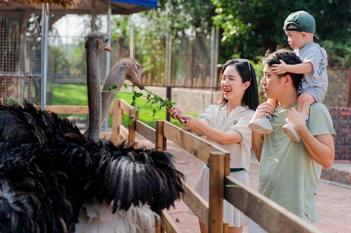 Trường Thành Farm Hải Phòng là điểm đến được yêu thích