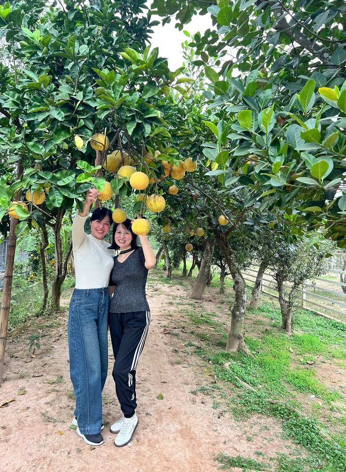 Trường Thành Farm Hải Phòng rộng lớn xanh mát