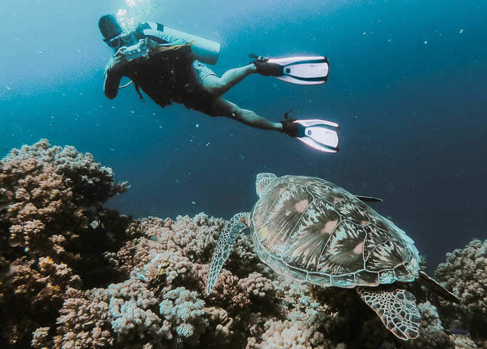 Du khách và thợ lặn nên giữ khoảng cách với san hô 
