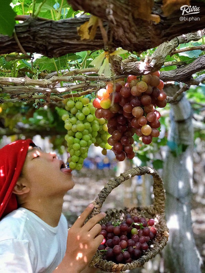 du lịch Bình Hưng