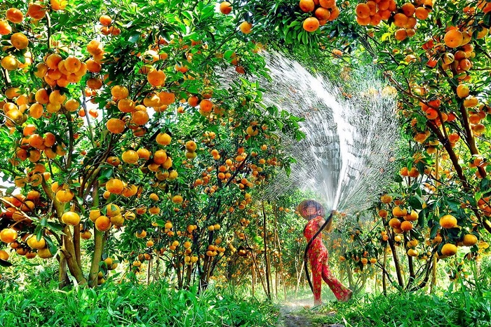 Du lịch miền Tây một mình bằng xe máy