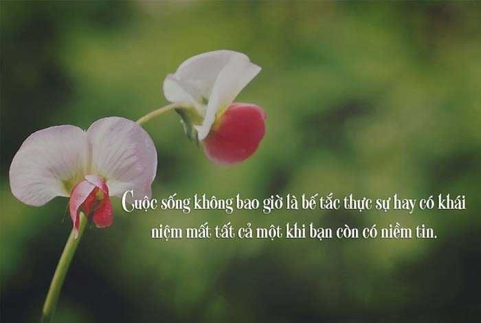Chỉ cần có niềm tin, bạn sẽ có tất cả