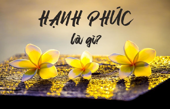 Hãy cứ sống trọn vẹn cho ngày hôm nay