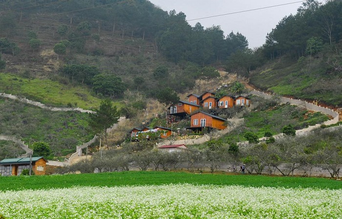 Mộc Châu Top Hill 