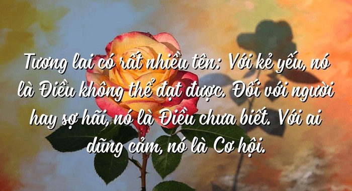 Tương lai có rất nhiều tên: với kẻ yếu, nó là điều không thể đạt được, với người hay sợ hãi, nó là điều chưa biết, với ai dũng cảm, nó là cơ hội.