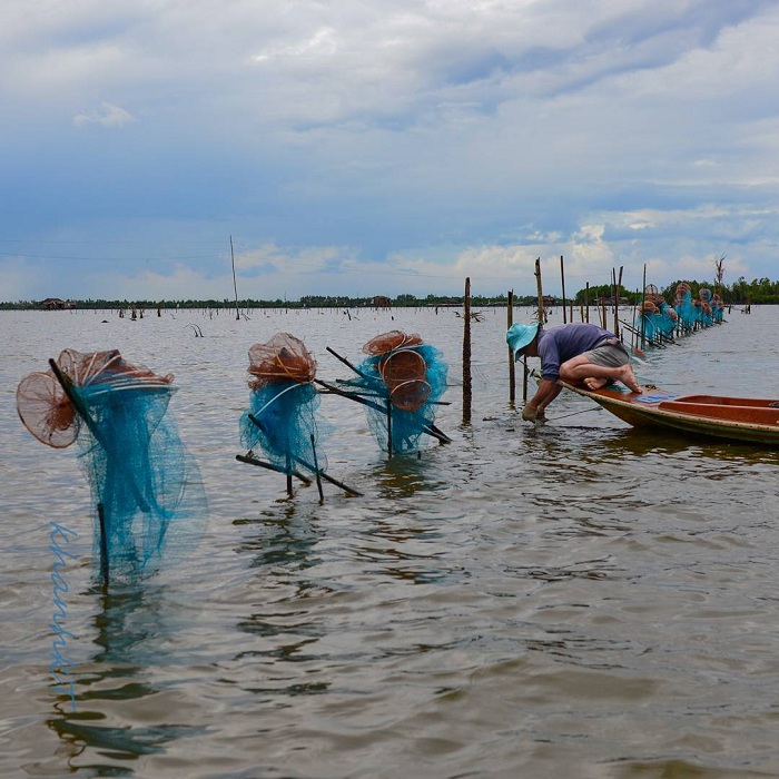 Đầm Thị Tường Cà Mau