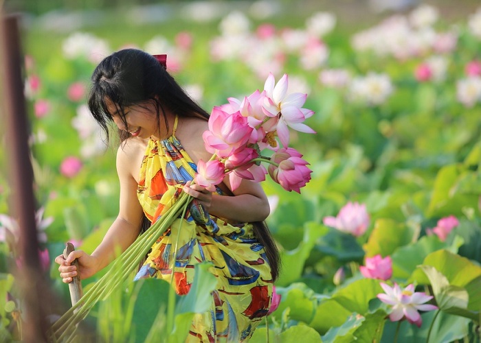Hoa sen là loài hoa truyền thống của Việt Nam với ý nghĩa đẹp và cao quý. Hãy cùng khám phá hình ảnh của hoa sen để thưởng thức vẻ đẹp thanh nhã, tinh tế của loài hoa này.