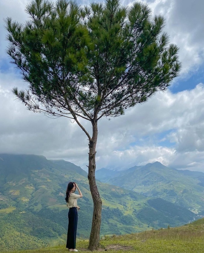 Những nơi mát mẻ giữa mùa hè ở Việt Nam
