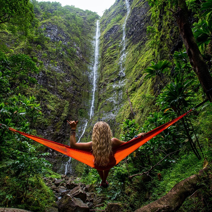 trào lưu tắm rừng du lịch 