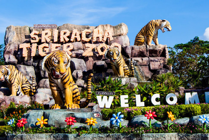 Sriracha Tiger Zoo Pattaya