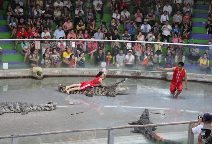 Sriracha Tiger Zoo Pattaya