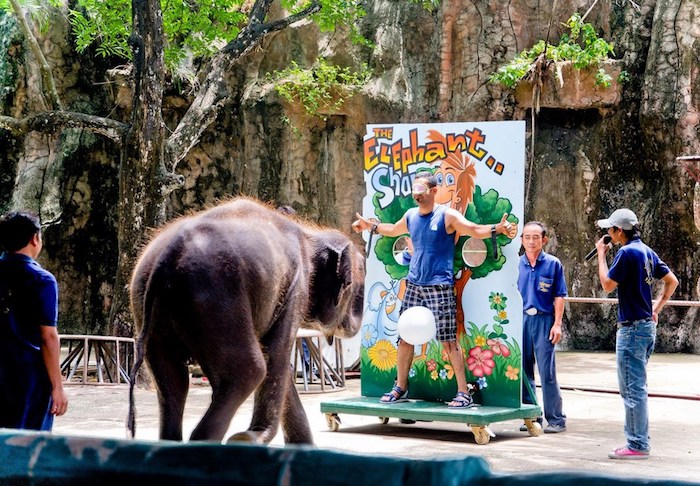 Sriracha Tiger Zoo Pattaya