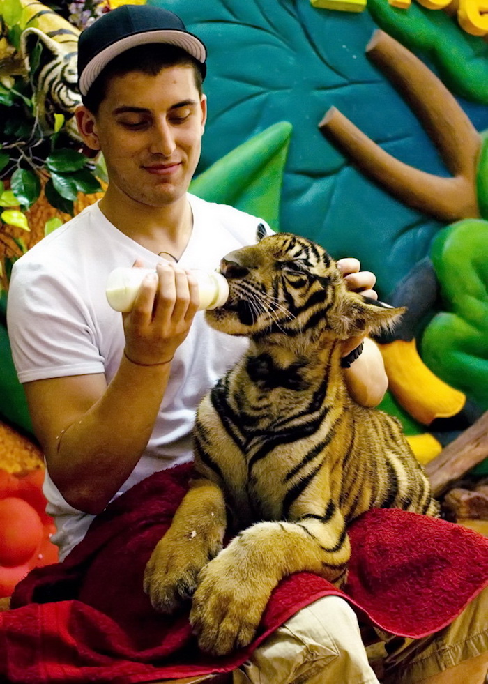 Sriracha Tiger Zoo Pattaya