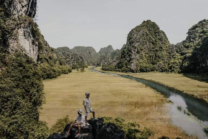 Mê mẩn Tam Cốc Ninh Bình mùa lúa chín đẹp tựa ‘biển vàng’ bước ra từ trang sách