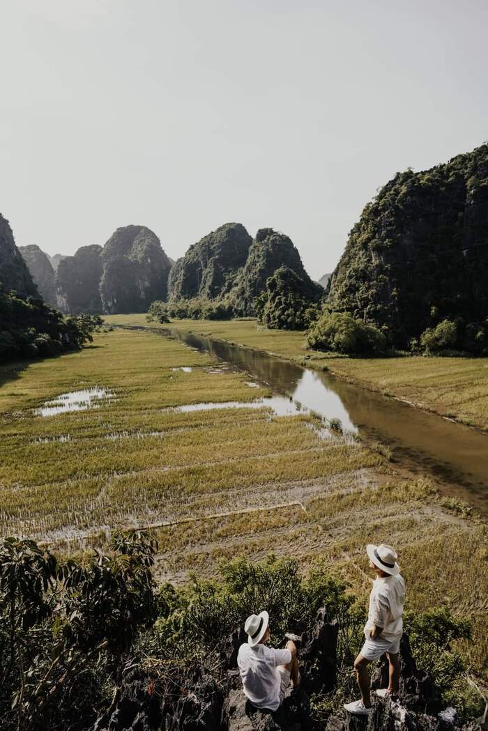 Mê mẩn Tam Cốc Ninh Bình mùa lúa chín đẹp tựa ‘biển vàng’ bước ra từ trang sách