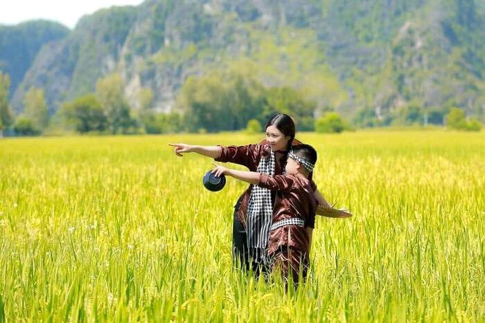 Mê mẩn Tam Cốc Ninh Bình mùa lúa chín đẹp tựa ‘biển vàng’ bước ra từ trang sách