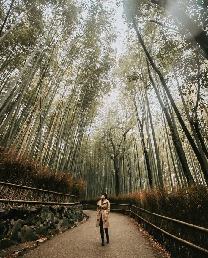 ‘Rung rinh’ trước các địa điểm du lịch đẹp tựa cổ tích như bước ra từ những thước phim