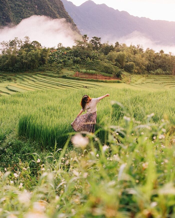 Pù Luông mùa lúa chín – Thu vào tầm mắt bức họa đồng quê ‘mùa vàng’ thanh bình