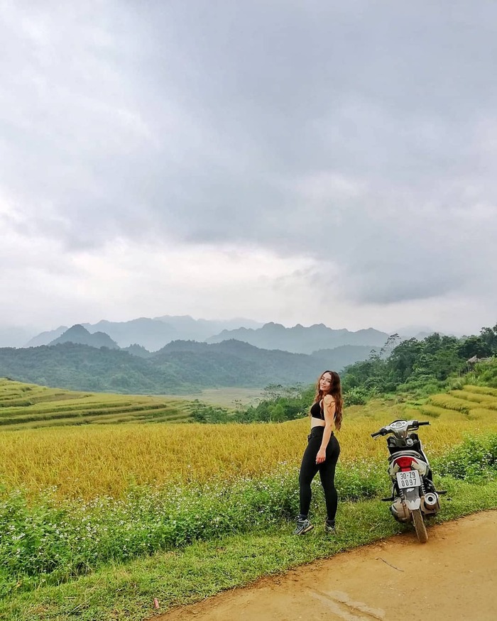 Pù Luông mùa lúa chín – Thu vào tầm mắt bức họa đồng quê ‘mùa vàng’ thanh bình