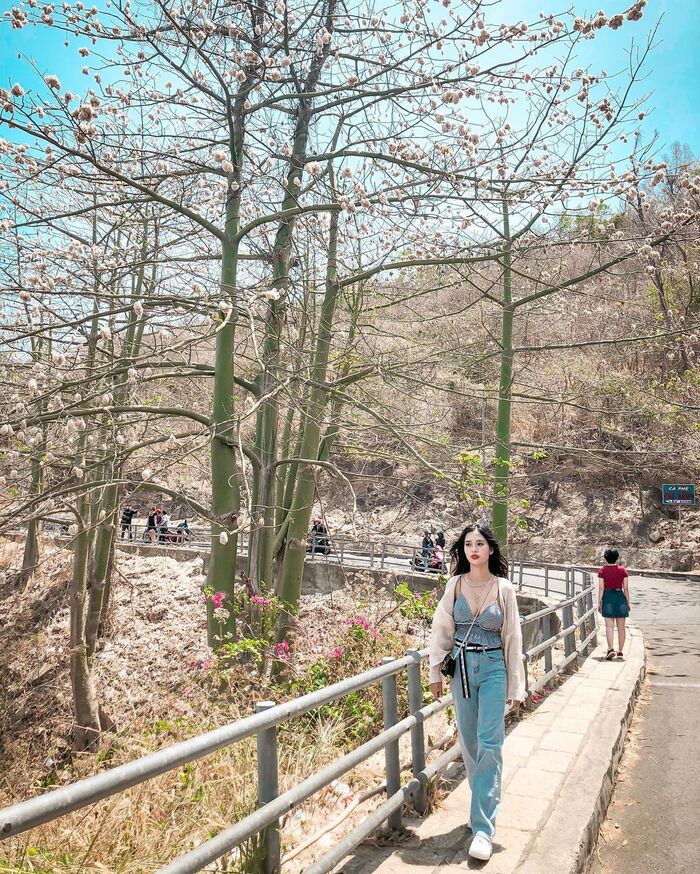 ‘Lụm ảnh không kịp’ với các tọa độ sống ảo nghìn like ở Vũng Tàu luôn khiến con dân sục sôi