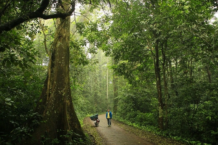Thỏa sức lên đường trekking với top những vườn quốc gia đẹp nhất Việt Nam