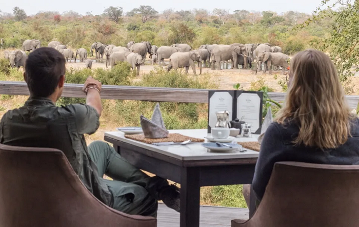 Khu bảo tồn Động vật hoang dã Sabi Sands, một trong những địa điểm thiên nhiên hoang dã đẹp nhất châu Phi.