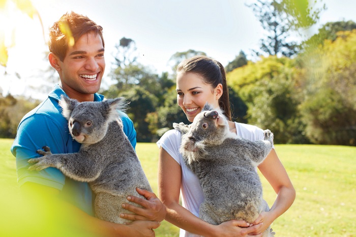  Dưới đây là kinh nghiệm du lịch Úc chi tiết từ A-Z mà bạn nhất định phải biết