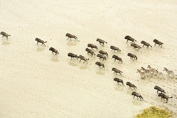 Công viên quốc gia Makgadikgadi Pans, một trong những điểm đến đẹp nhất Botswana.