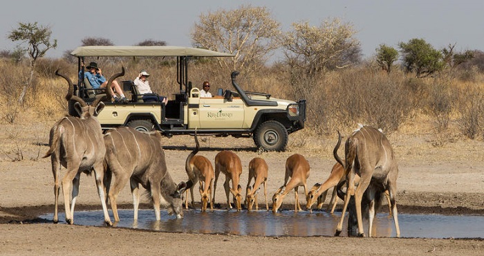 Khu bảo tồn Central Kalahari Game Reserve, một trong những điểm đến đẹp nhất Botswana.