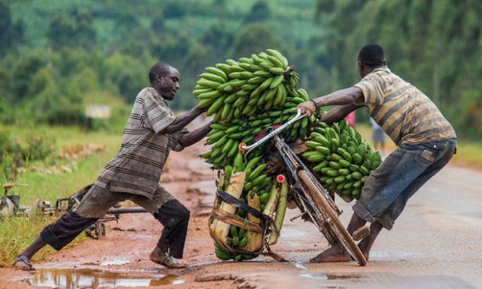 những điều thú vị về Uganda