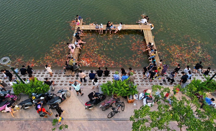 Du khách đến trải nghiệm ở hồ cá koi Hồ Tây