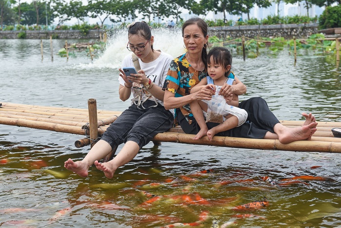 Du khách đến trải nghiệm ở hồ cá koi Hồ Tây