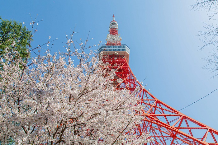 điểm check in miễn phí ở Tokyo