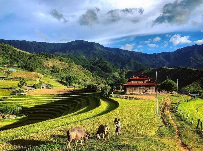 Trạm Tấu Yên Bái