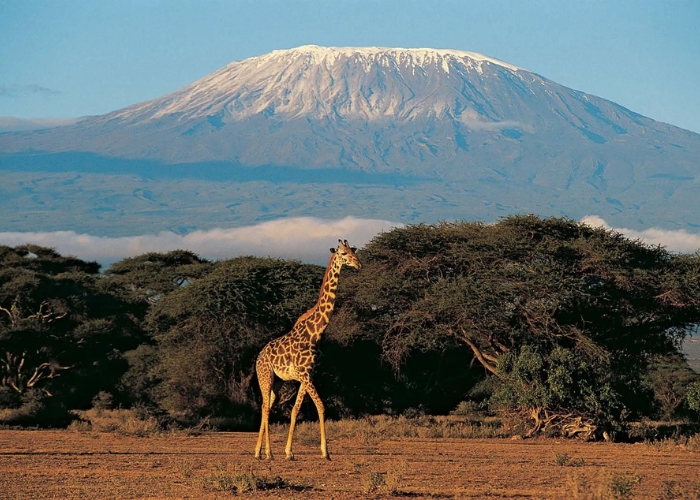 Du lịch Tanzania - Núi Kilimanjaro là ngọn núi cao nhất ở châu lục này