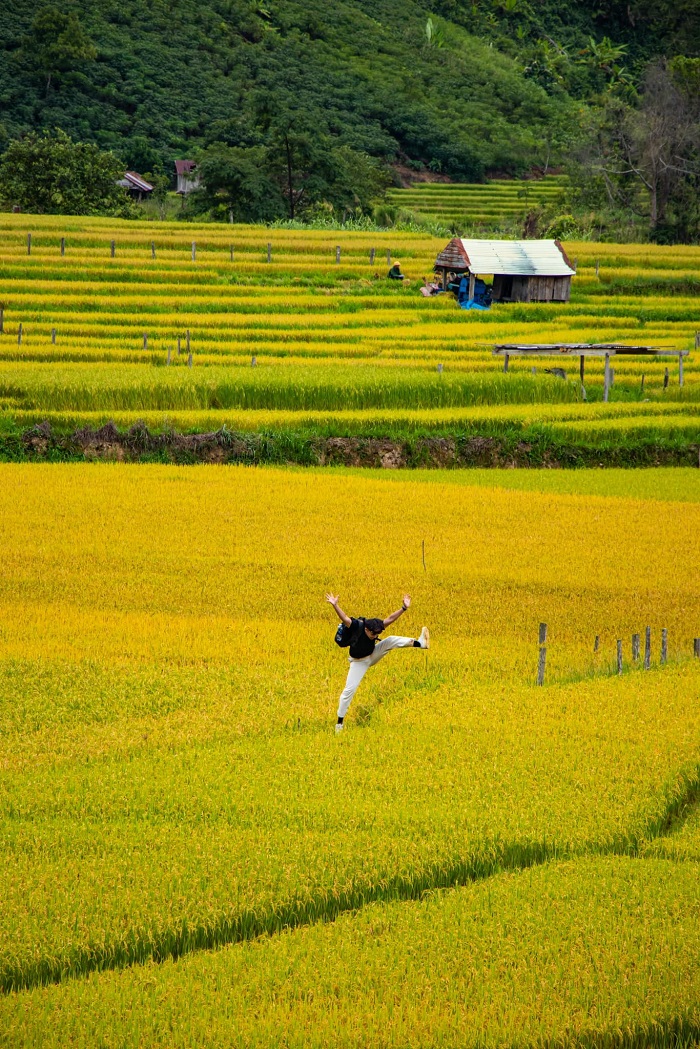 Làng Kon Tu Rằng vào mùa lúa chín đẹp xao xuyến