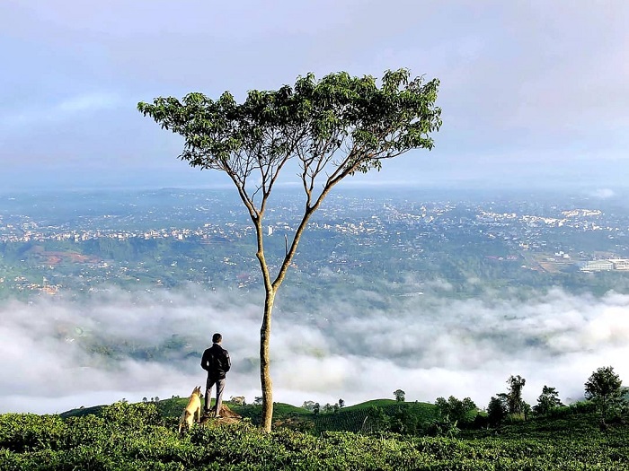 Trekking chinh phục núi Đại Bình, sau khi thăm Đồi Vô Ưu Bảo Lộc