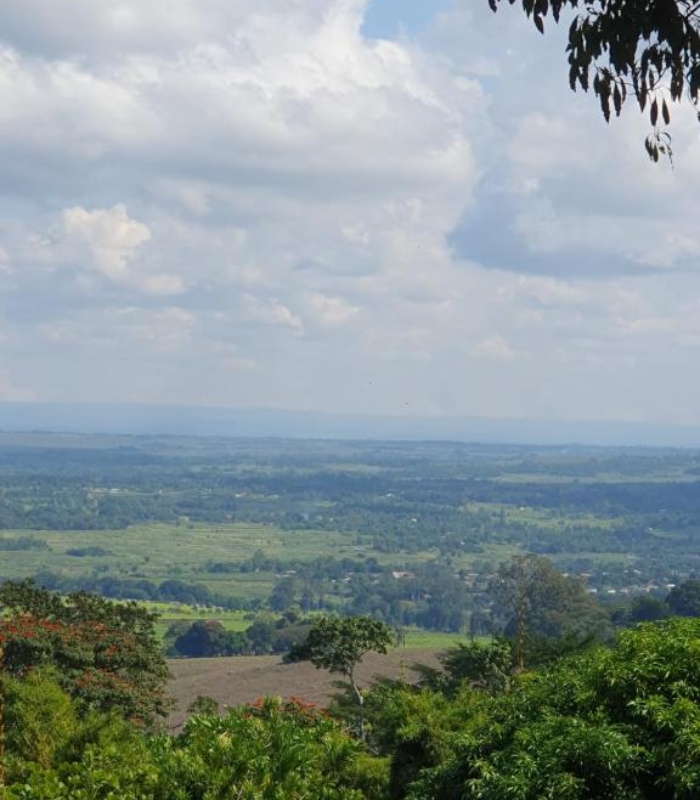 Du lịch Malawi - Khu bảo tồn rừng Mulanje còn là nơi lưu giữ hệ sinh thái đa dạng
