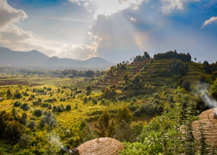 Du lịch Rwanda - Vườn quốc gia Volcanoes là viên ngọc quý được UNESCO công nhận Di sản Thế giới