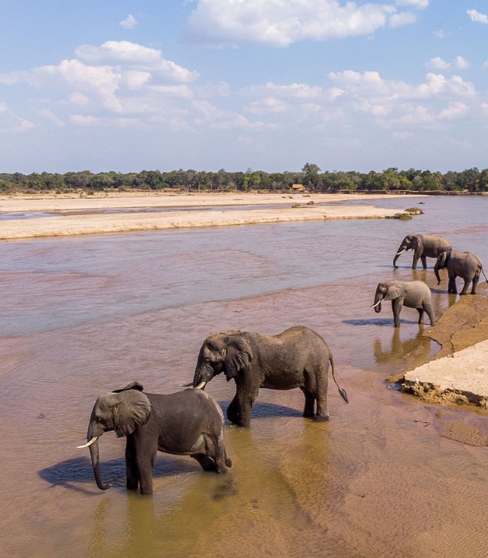 Du lịch Zambia - Vườn quốc gia South Luangwa là một trong những khu bảo tồn lớn nhất và nổi tiếng nhất ở châu Phi