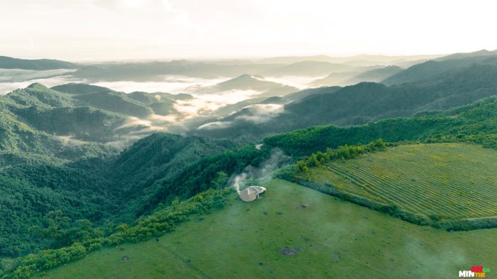 Thảo nguyên Bùi Hui Quảng Ngãi