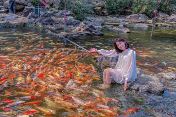 Du lịch suối cá vàng Khe Tọ xứ Nghệ ngắm cá vàng 'giải nhiệt' mùa hè