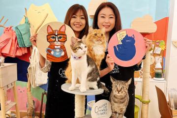 Mục sở thị 8 quán cà phê thú cưng ở Singapore khiến hội yêu chó mèo ‘phát cuồng’