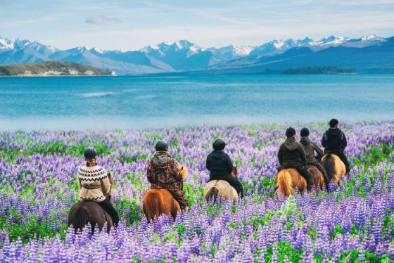 Du lịch New Zealand có gì: 7 điều thú vị có thể bạn chưa biết