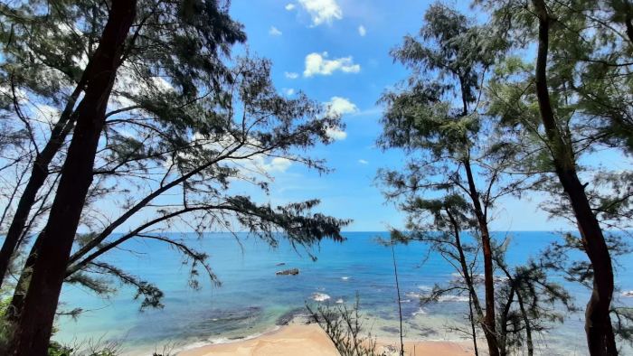 Mũi Si Quảng Trị 