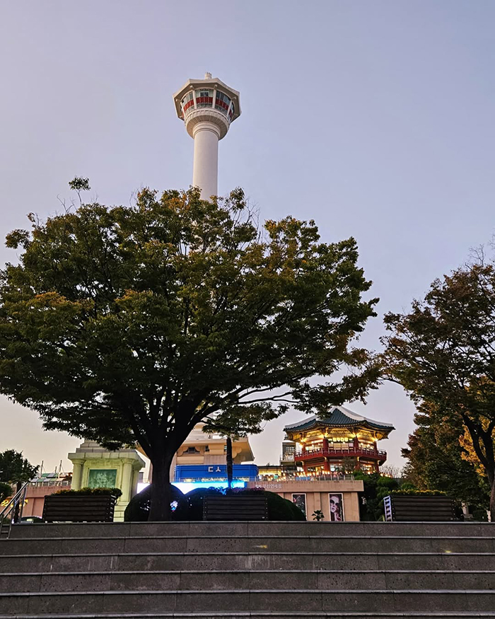 Du lịch tháp busan tower hàn quốc vào Mùa đông (tháng 12 - tháng 3)