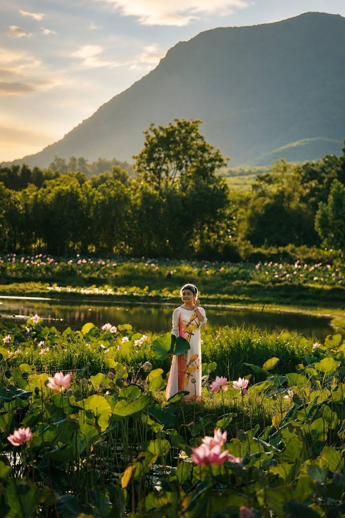 Vẻ đẹp đồng sen dưới ánh bình minh là vẻ đẹp ,à người nhiếp ảnh cảm thấy thật đặc biệt. 