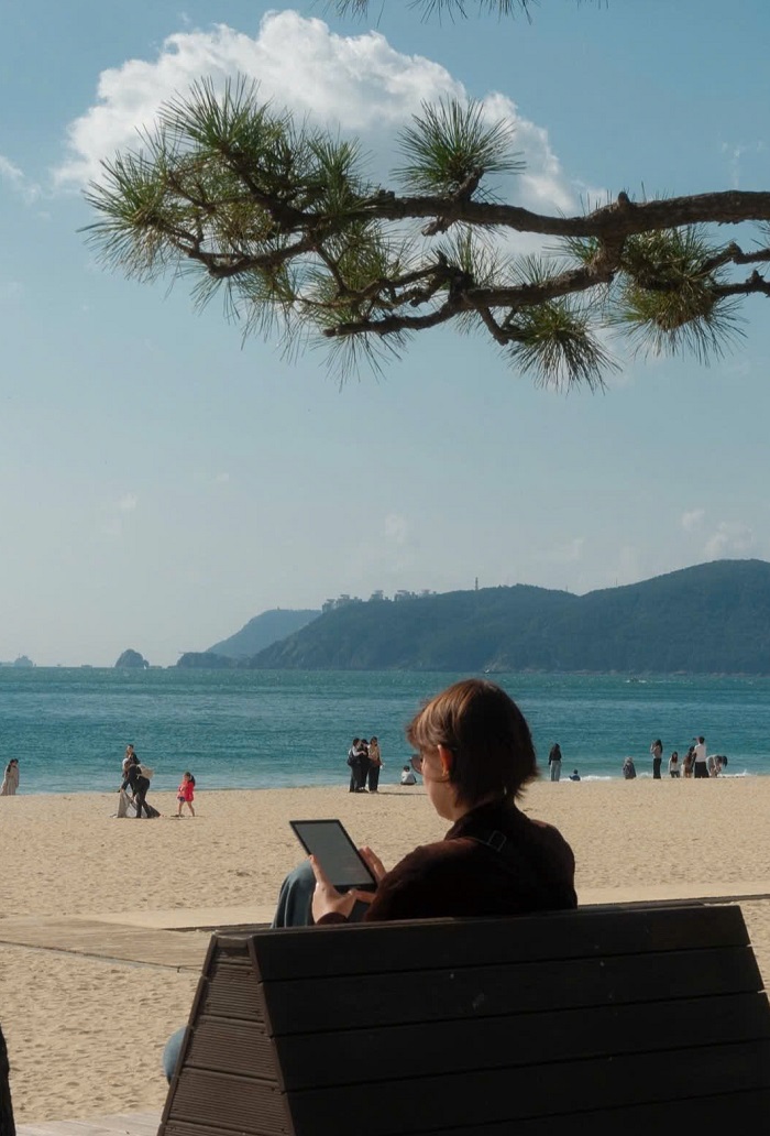 Thư giãn trên đảo Dongbaek ngay cuối bãi biển Haeundae Busan